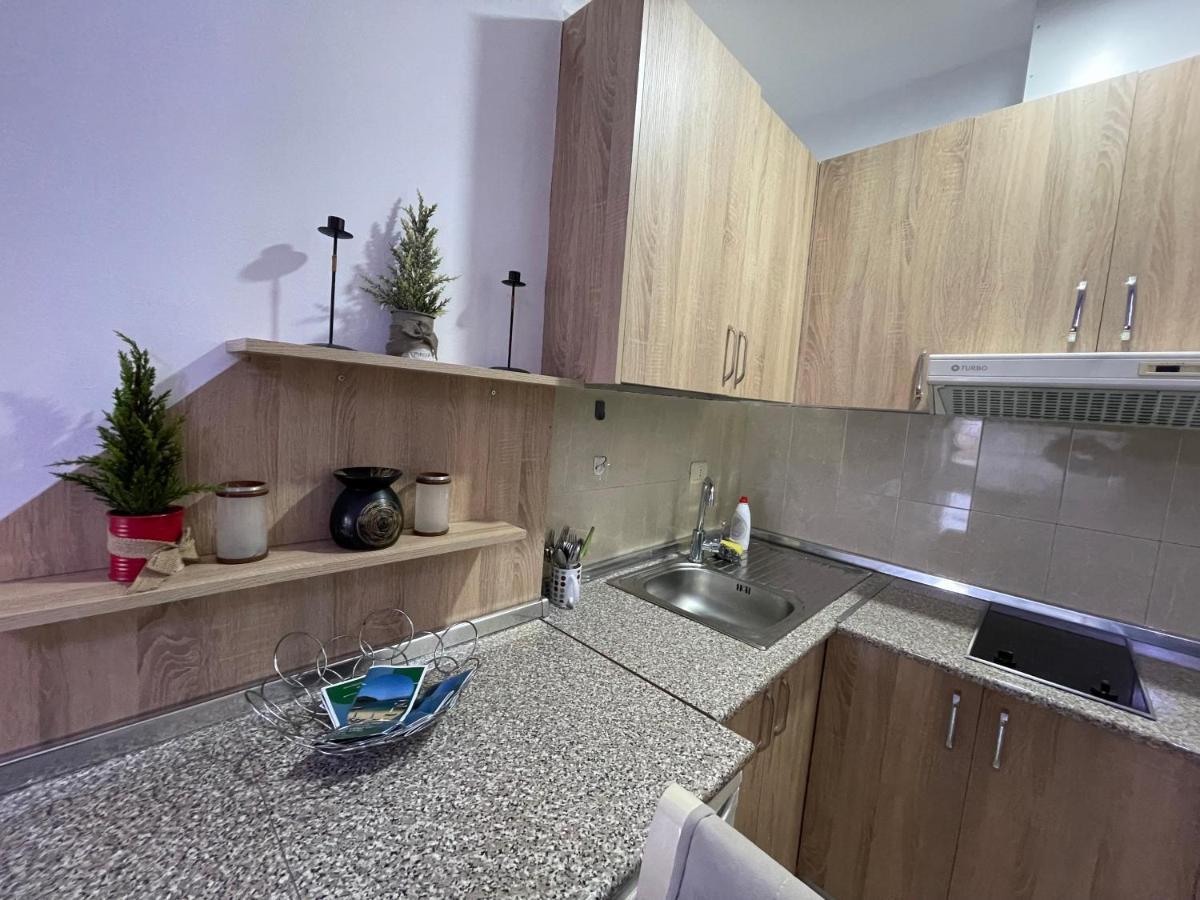Downtown Modern Studio Apartment ティラナ エクステリア 写真