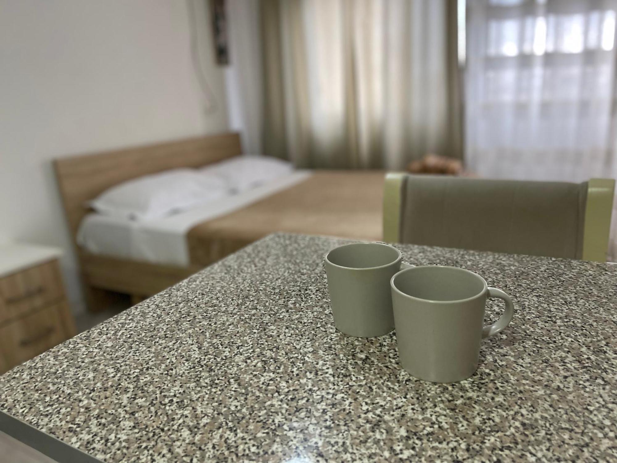 Downtown Modern Studio Apartment ティラナ エクステリア 写真